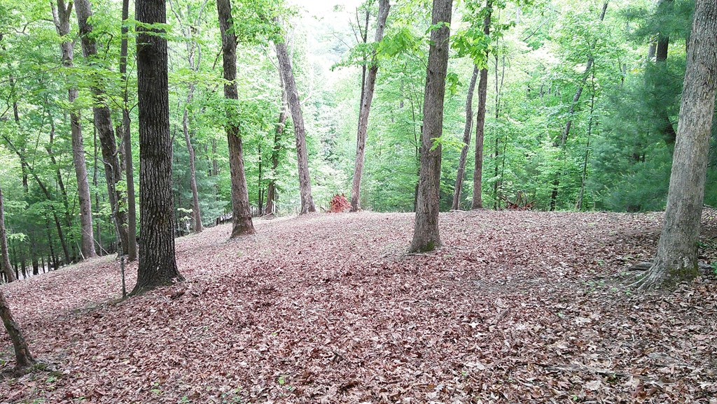 00 Tracks Hollow Property Photo 37