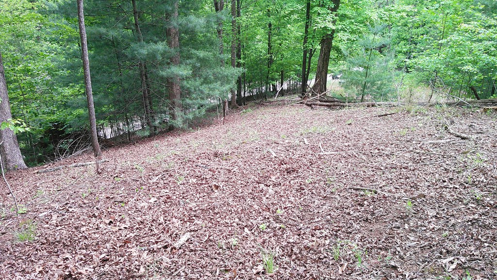 00 Tracks Hollow Property Photo 38