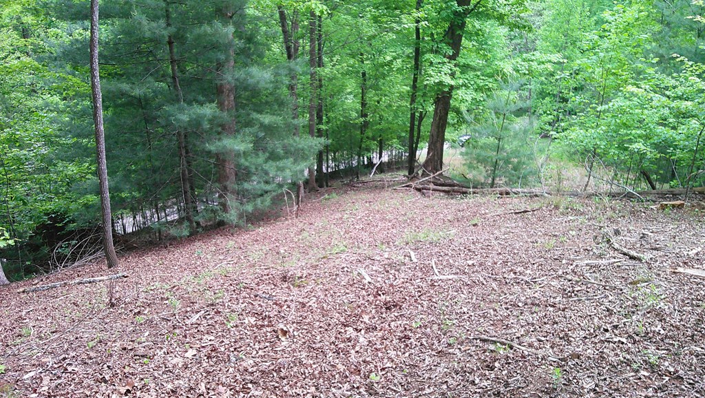 00 Tracks Hollow Property Photo 39