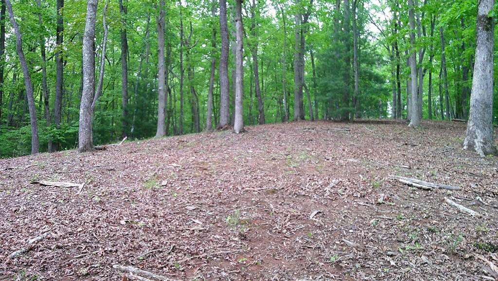 00 Tracks Hollow Property Photo 41