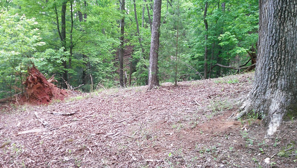 00 Tracks Hollow Property Photo 42
