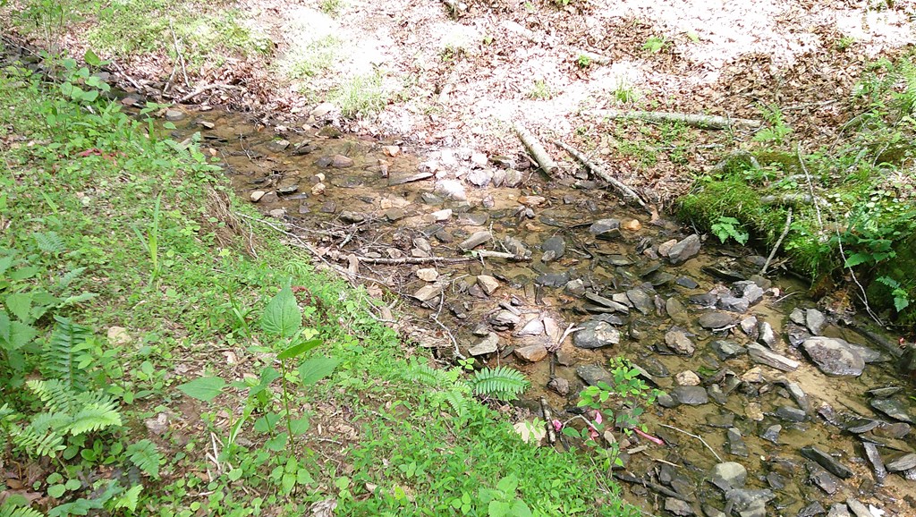 00 Tracks Hollow Property Photo 51