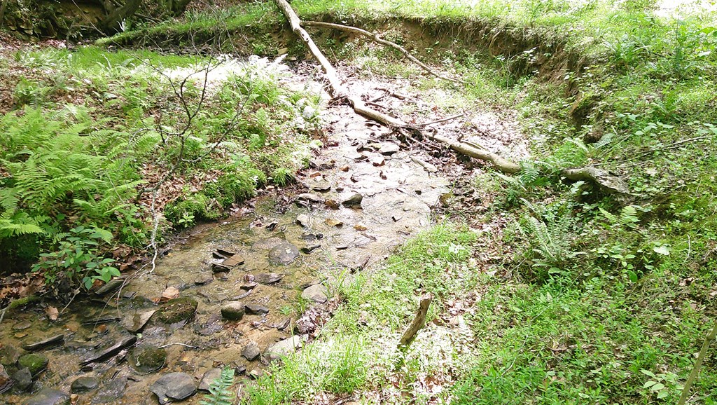 00 Tracks Hollow Property Photo 53