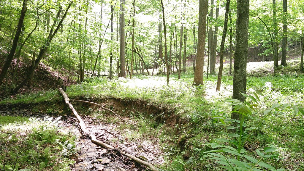 00 Tracks Hollow Property Photo 54