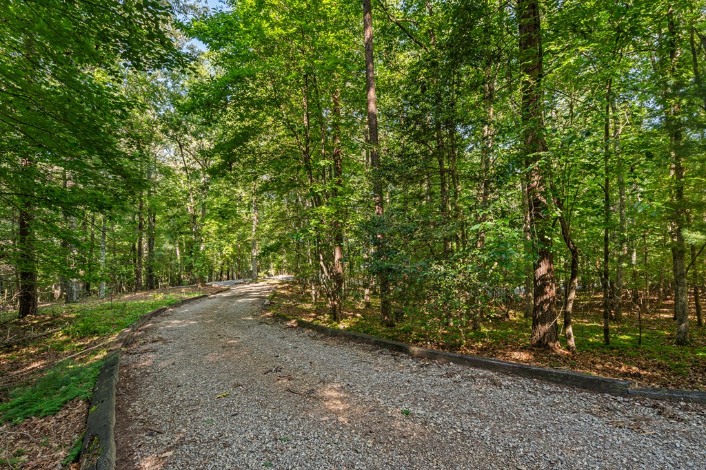 270 Sugar Creek Road Property Photo 43