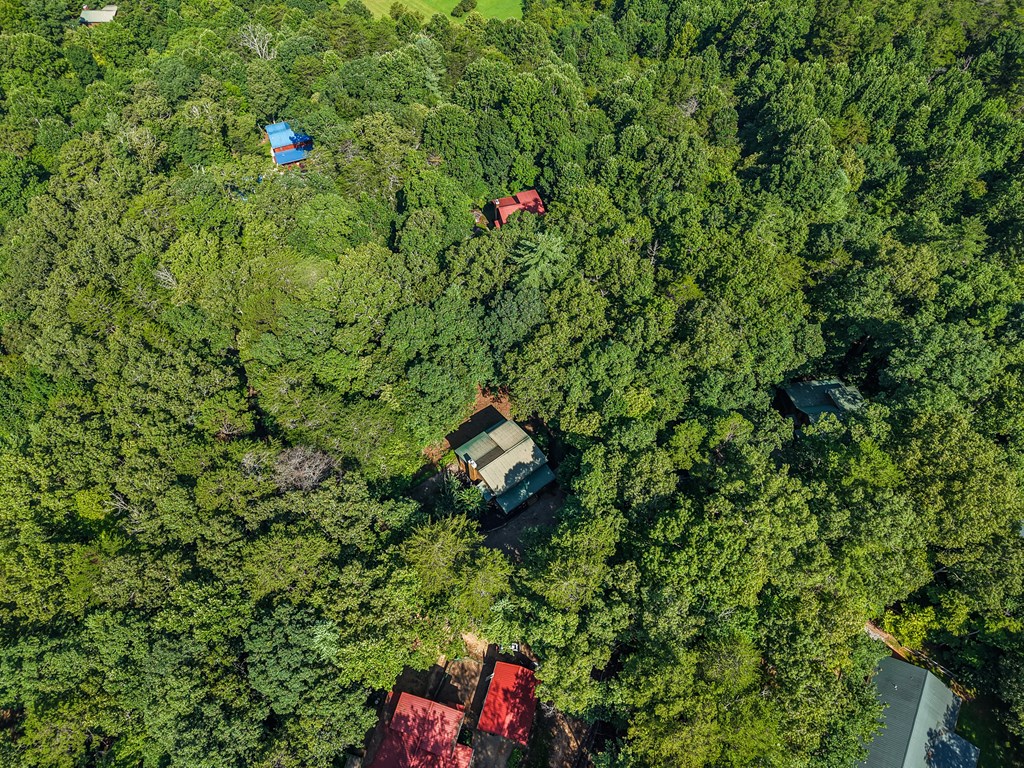 270 Sugar Creek Road Property Photo 45