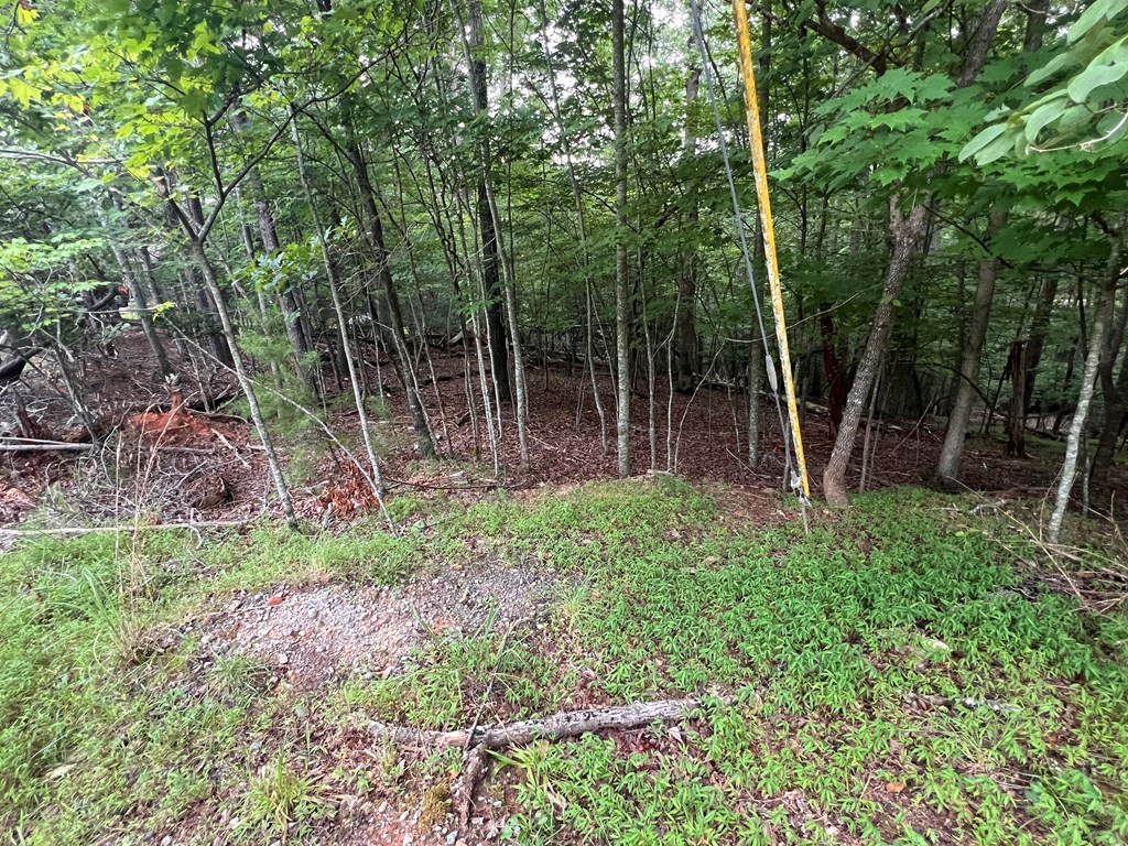 Lt 445 Villa Drive Property Photo 4