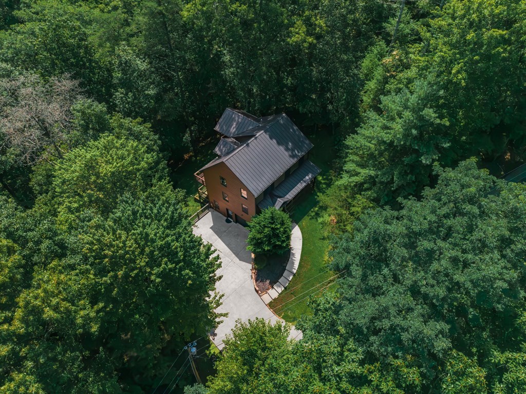 120 Walnut Mountain Court Property Photo 40