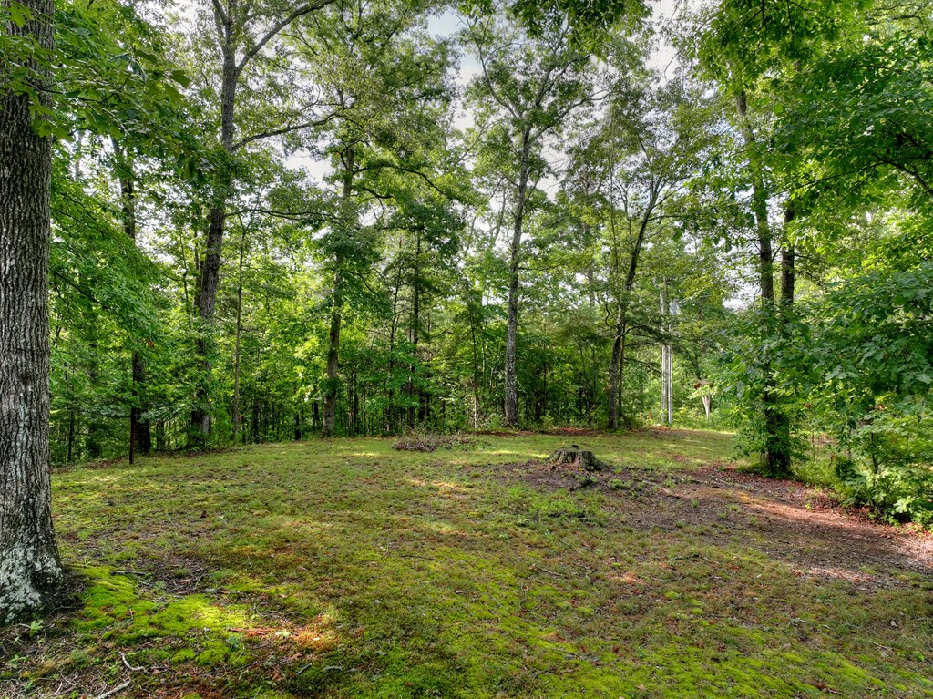 387 Ruby Lane Property Photo 6