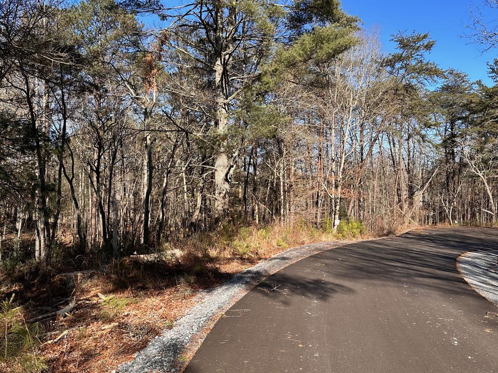 Lot 14 Fairview Way Property Photo 1
