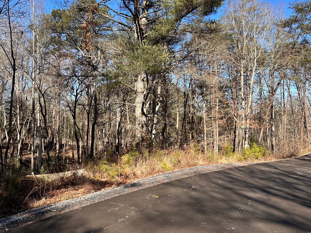 Lot 14 Fairview Way Property Photo 2