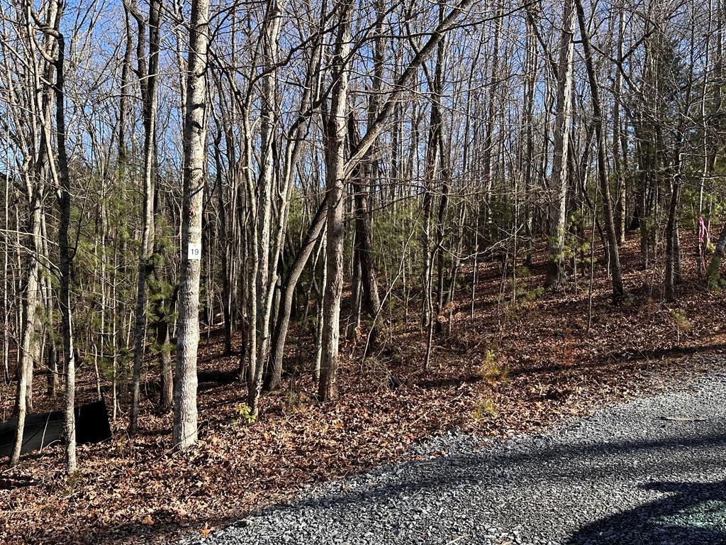 Lot 19 Fairview Drive Property Photo 1