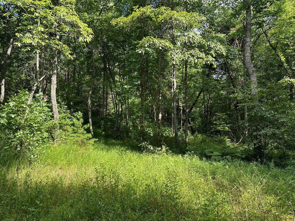 Lot 30 Fairview Drive Property Photo 2