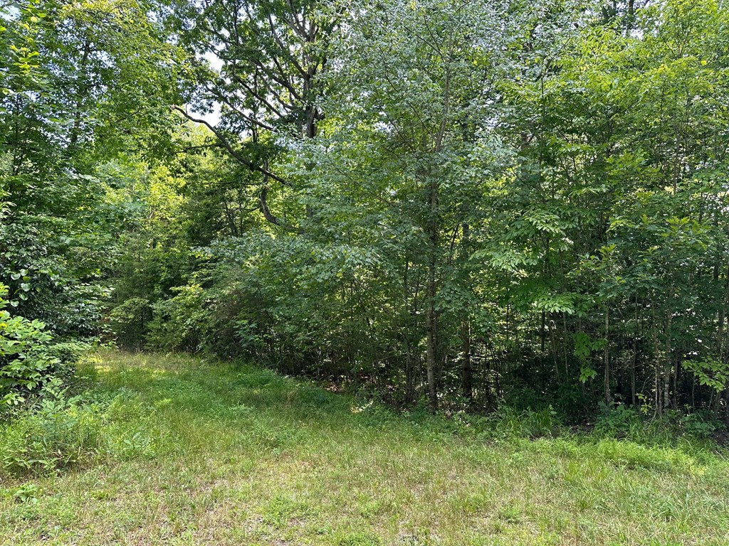 Lot 30 Fairview Drive Property Photo 4