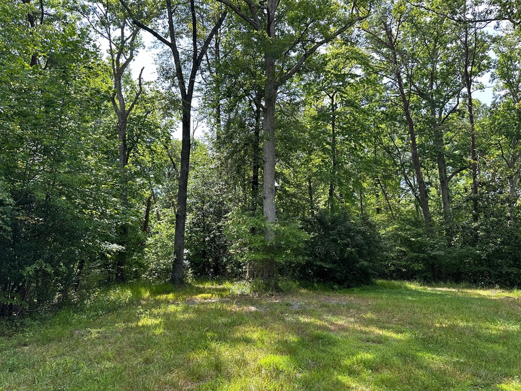 Lot 30 Fairview Drive Property Photo 5