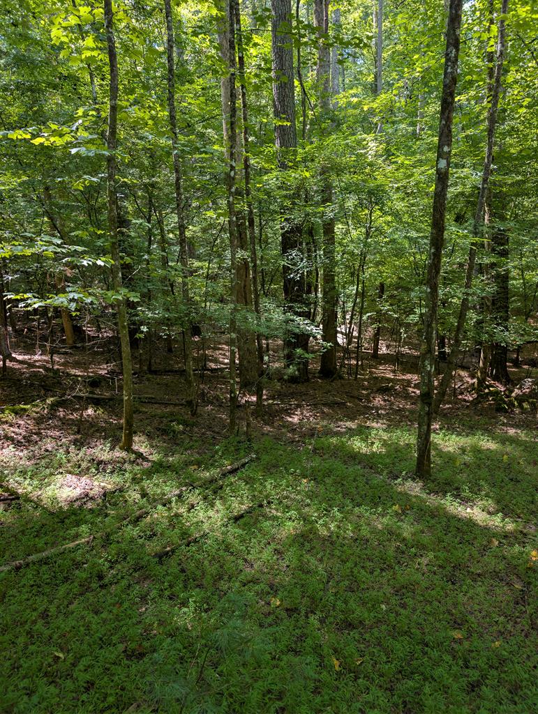 Lt 3079R Monocle Drive Property Photo 1