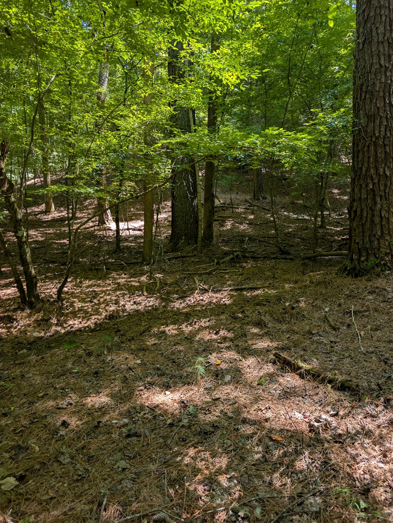 Lt 3079r Monocle Drive Property Photo 4