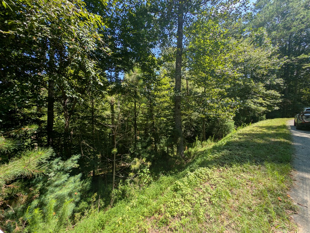 Lt 3079r Monocle Drive Property Photo 12