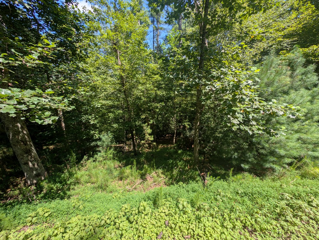 Lt 3079r Monocle Drive Property Photo 13