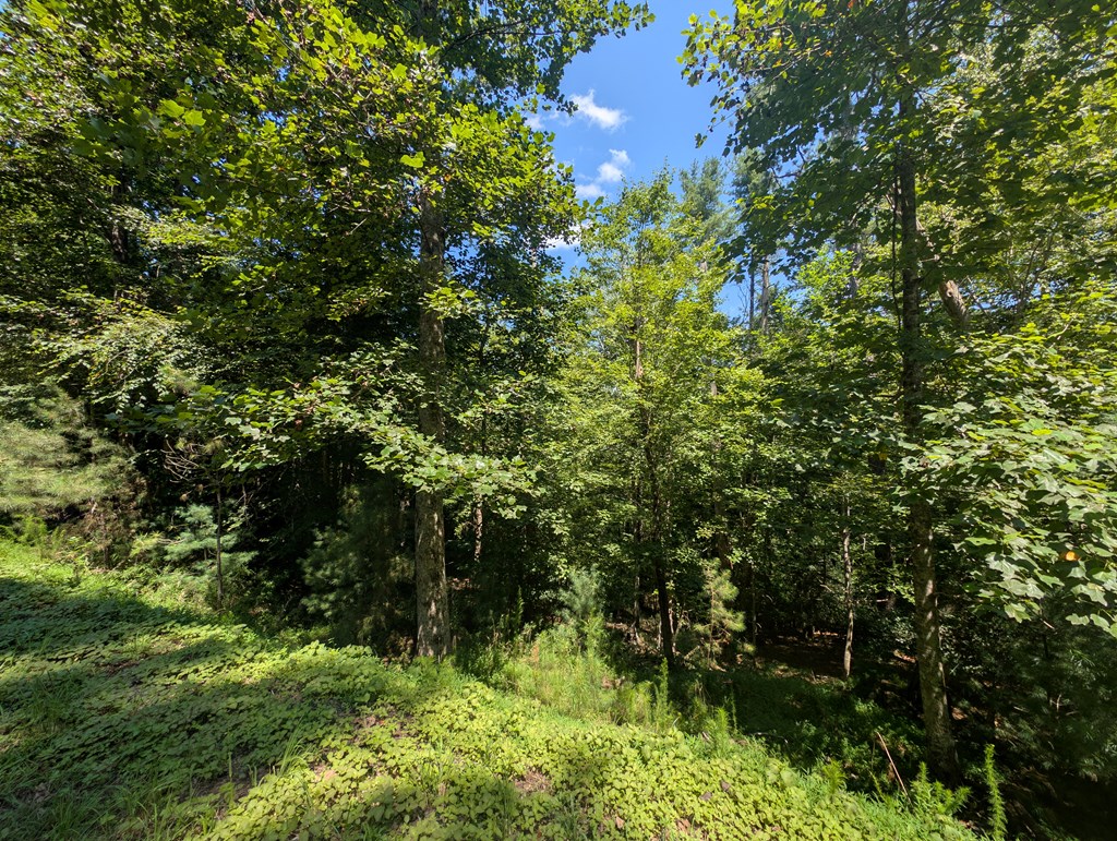 Lt 3079r Monocle Drive Property Photo 14