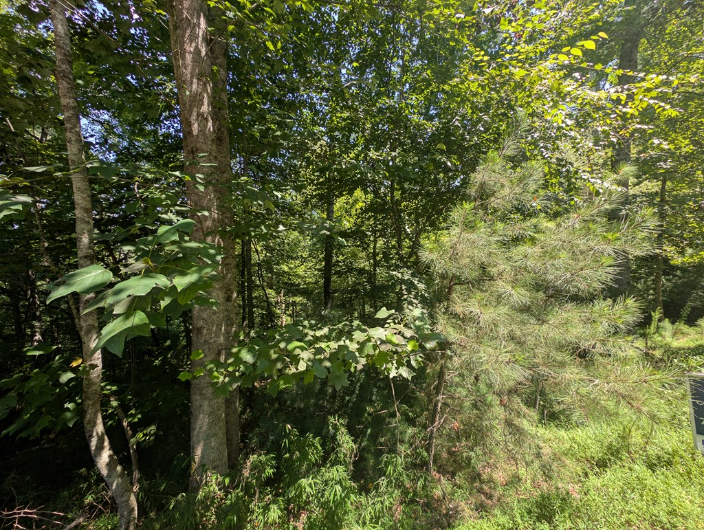 Lt 3079r Monocle Drive Property Photo 15
