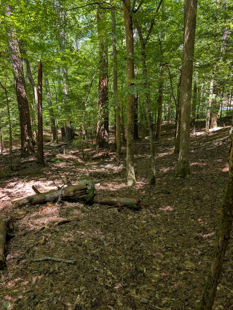 Lt 3079r Monocle Drive Property Photo 17