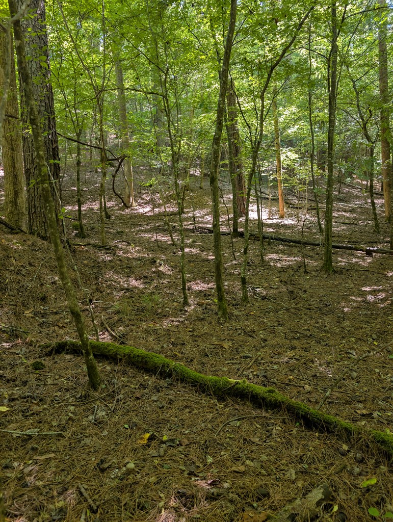 Lt 3079r Monocle Drive Property Photo 20