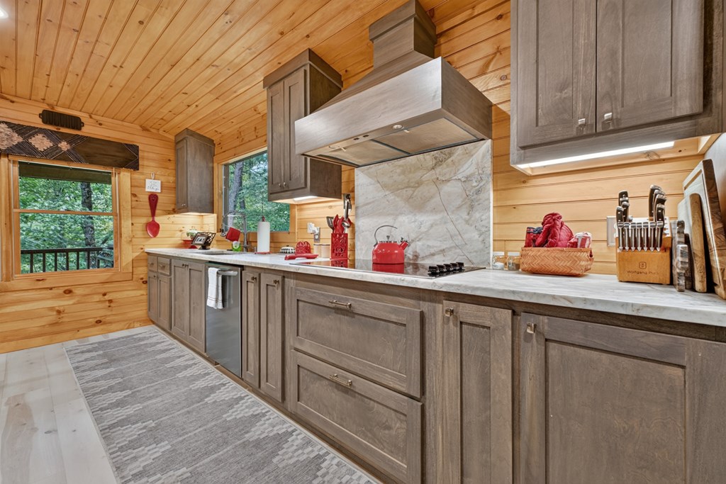 171 Mountain Lake Drive Property Photo 8