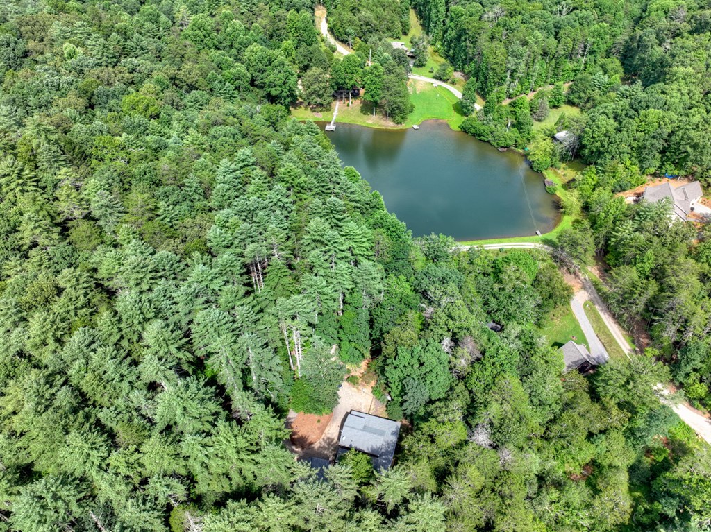 171 Mountain Lake Drive Property Photo 34