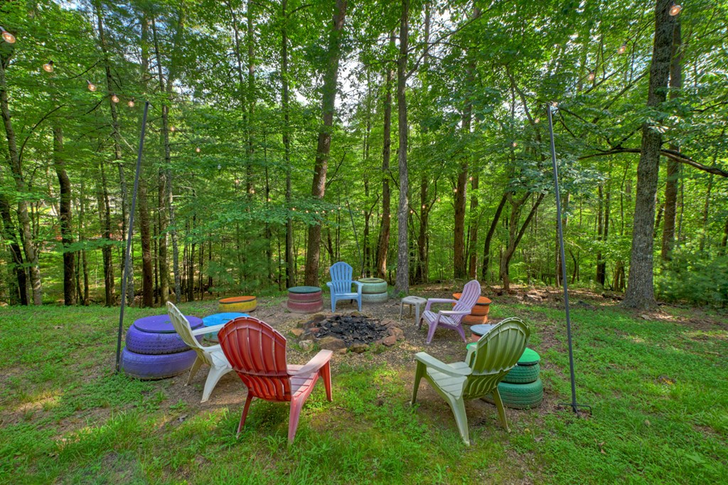 171 Mountain Lake Drive Property Photo 38