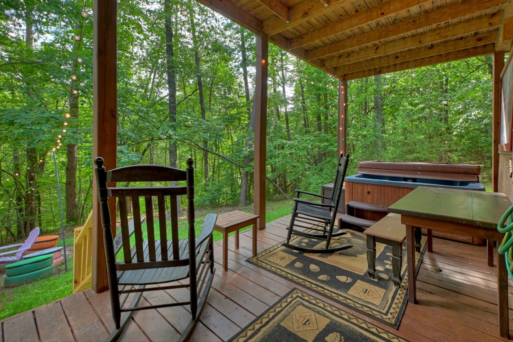 171 Mountain Lake Drive Property Photo 40