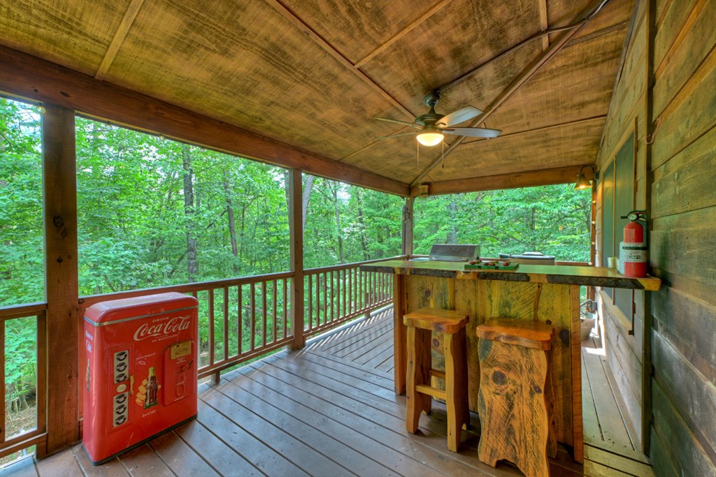 171 Mountain Lake Drive Property Photo 43