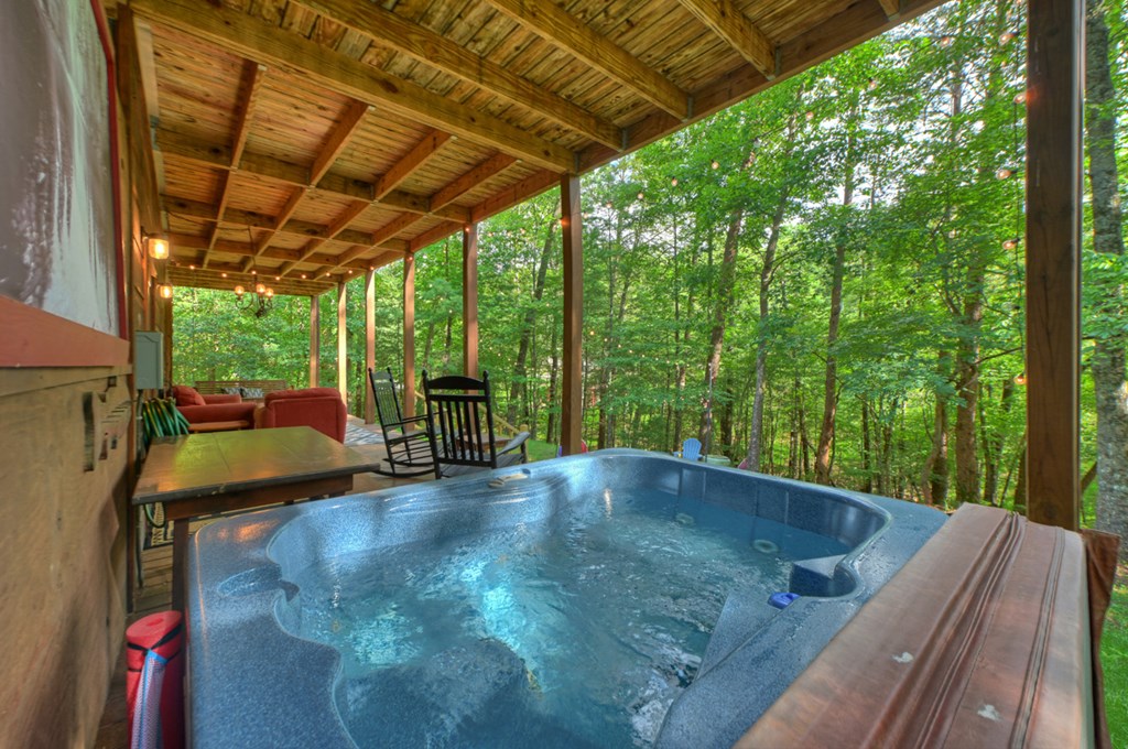 171 Mountain Lake Drive Property Photo 53