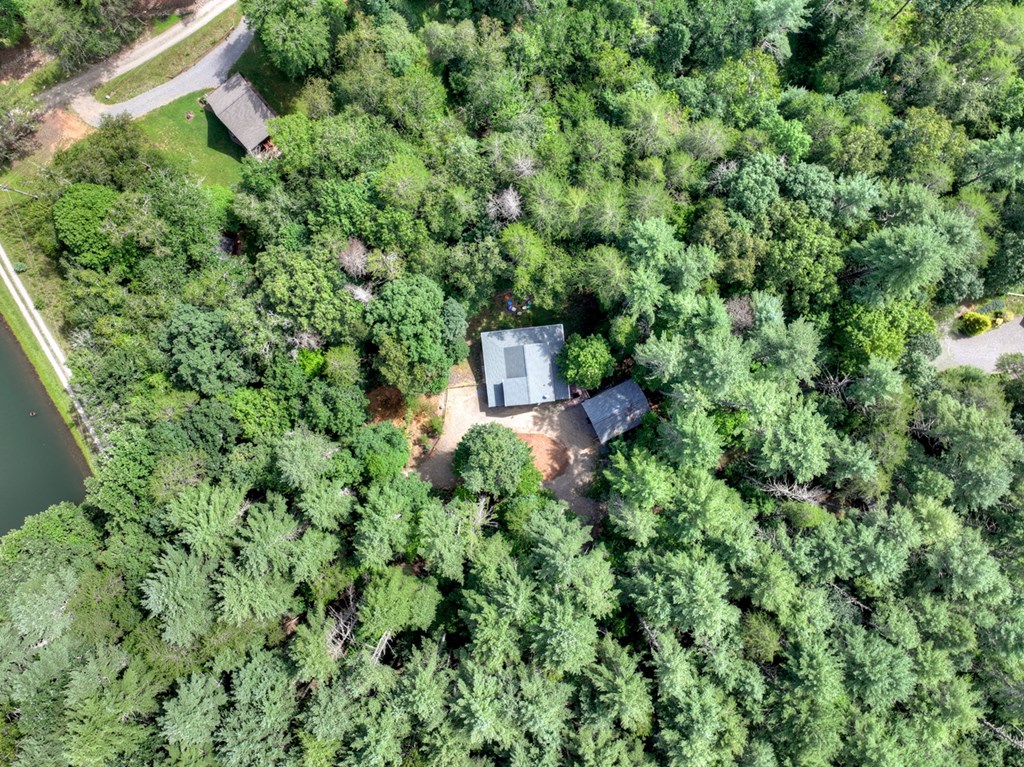 171 Mountain Lake Drive Property Photo 71