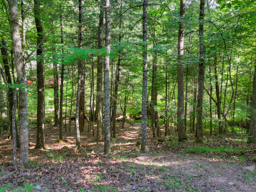 171 Mountain Lake Drive Property Photo 73