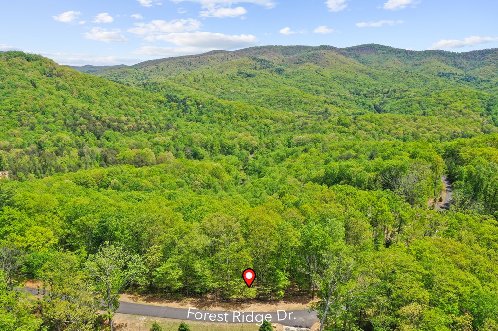 Lt 19 Forest Ridge Drive Property Photo 42