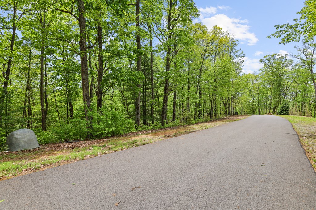 Lt 19 Forest Ridge Drive Property Photo 44