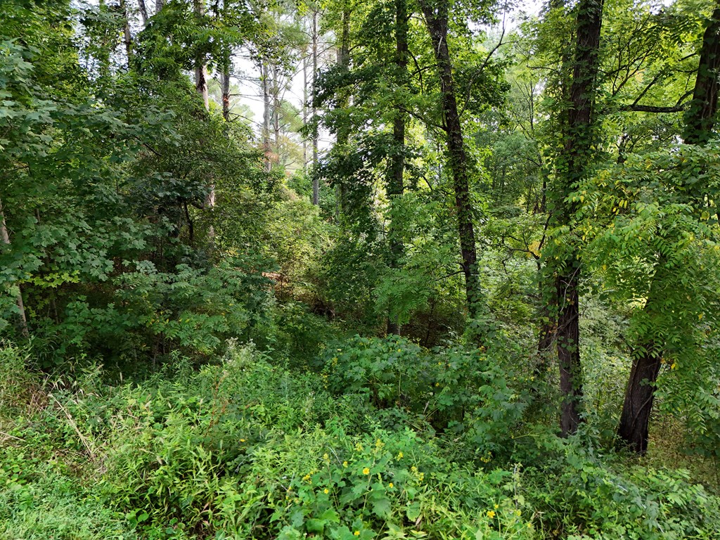 Lot 4 Butterfly Lane Property Photo 6