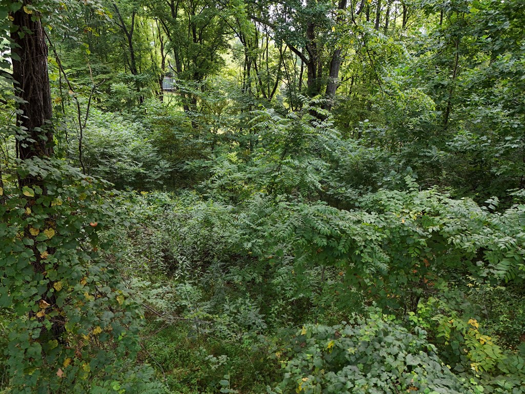 Lot 4 Butterfly Lane Property Photo 7