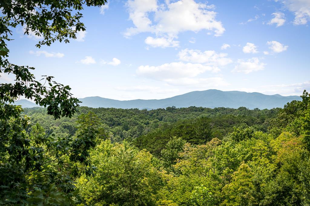 185 Austin Mountain Road Property Photo 13