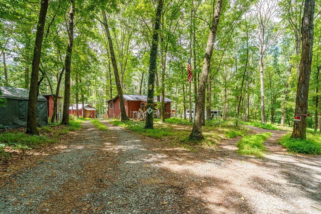 237 Rusty Lady Ln Property Photo 3
