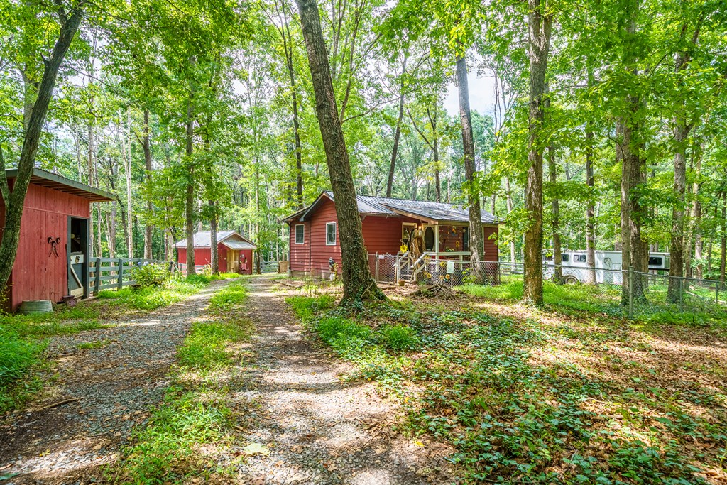 237 Rusty Lady Ln Property Photo 4