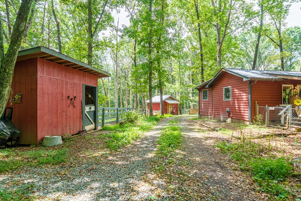 237 Rusty Lady Ln Property Photo 6