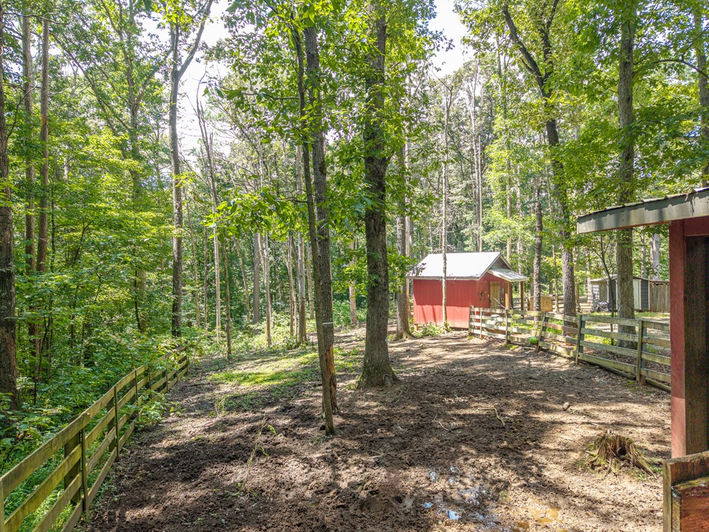237 Rusty Lady Ln Property Photo 12