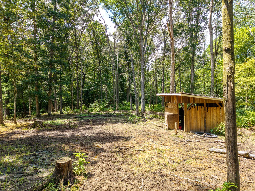 237 Rusty Lady Ln Property Photo 13