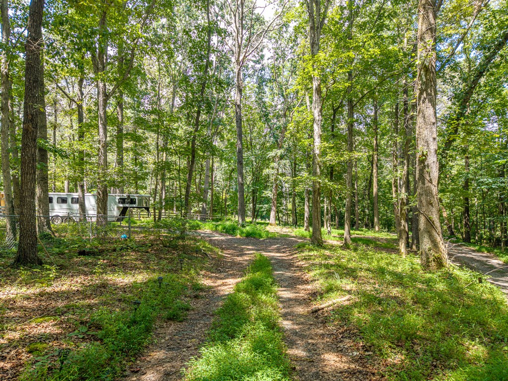 237 Rusty Lady Ln Property Photo 14