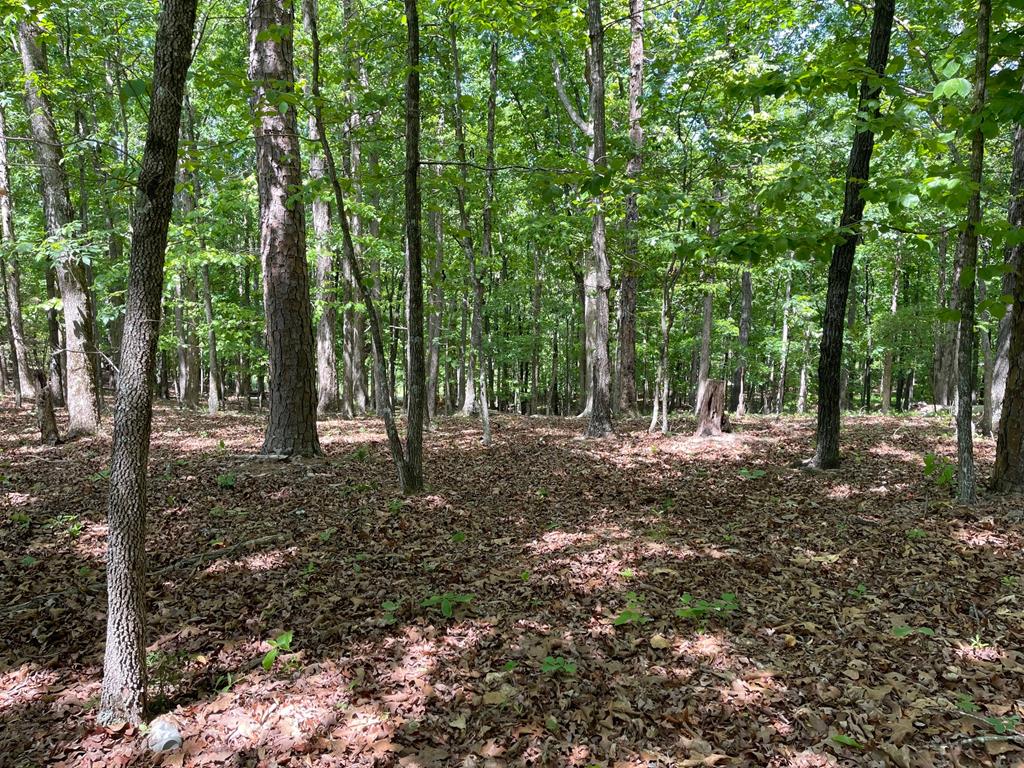 Tract1a Chalcrest Way Property Photo 1