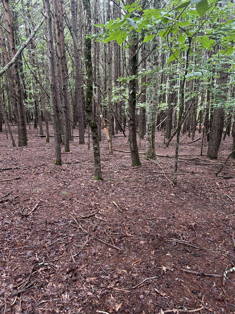 Lot #4 Summit Drive Property Photo 4