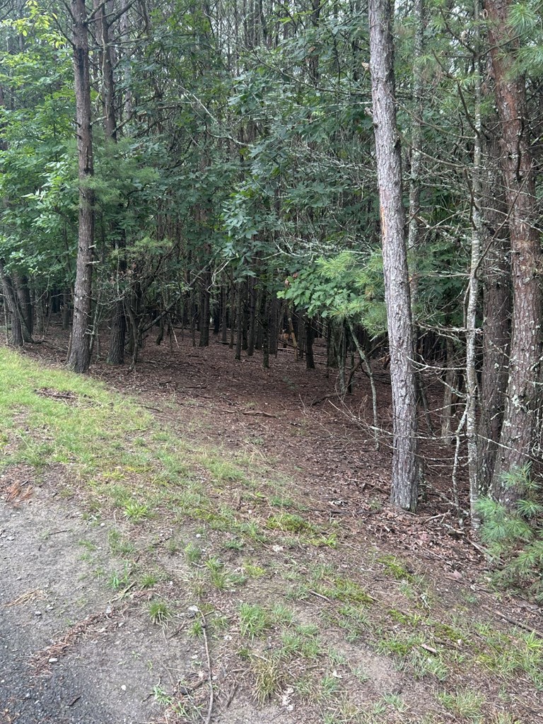 Lot #4 Summit Drive Property Photo 5