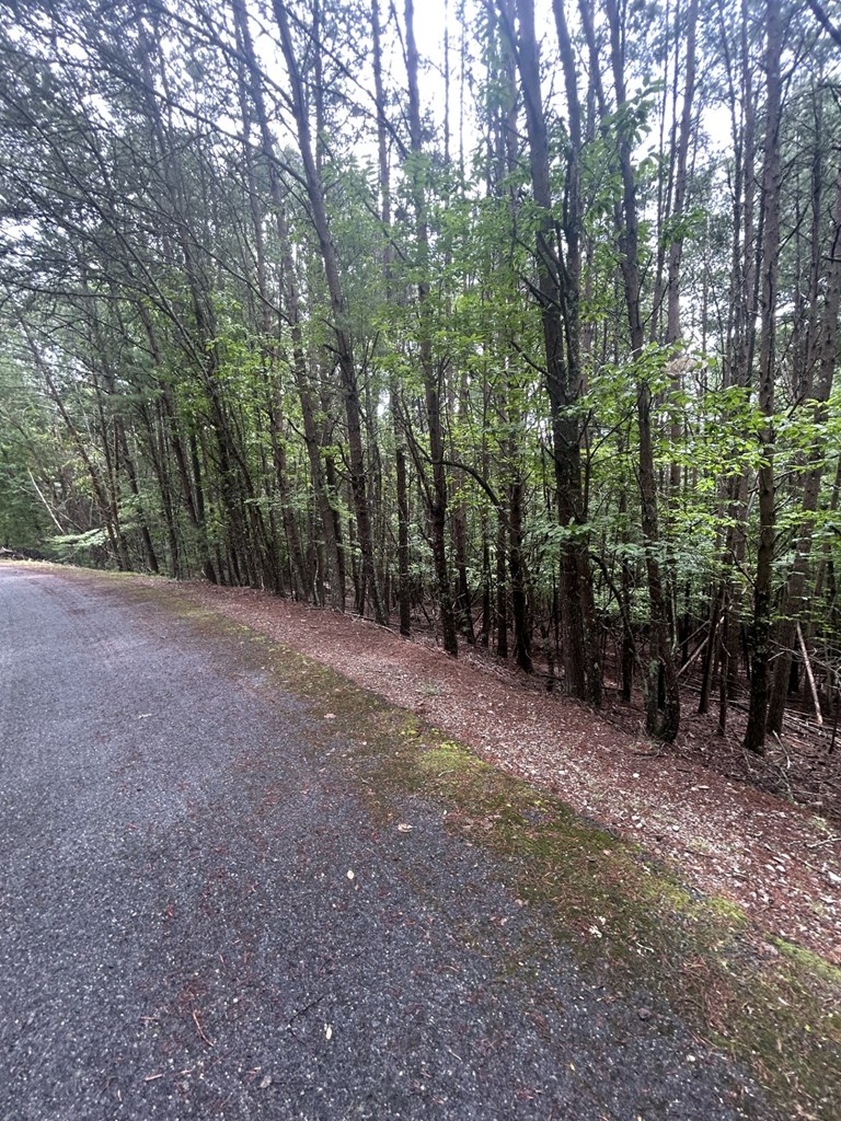 Lot #4 Summit Drive Property Photo 6